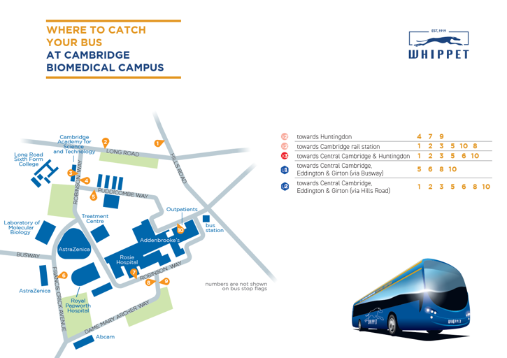 Where to catch your bus at the Cambridge Biomedical Campus