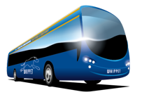 Whippet bus